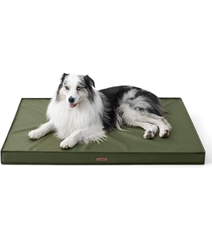 Sunbrella Double Sided Dog Bed For Indoor & Outdoor - Washable, Chew Resistant Pet Mat, Large 40"x30"x4" - View #4