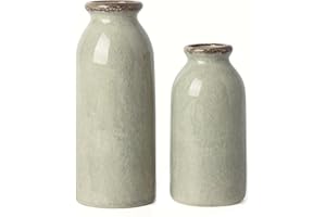 VICTOR & TERESA Green Ceramic Vases Home Decor, Farmhouse Vases for Flowers, Flower Vase Set of 2, Rustic Decorative Vases for Pampas Grass, Table, Living Room, Shelf, Centerpieces, 8 inch