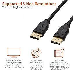 Amazon Basics DisplayPort to DisplayPort 1.2 Cable
