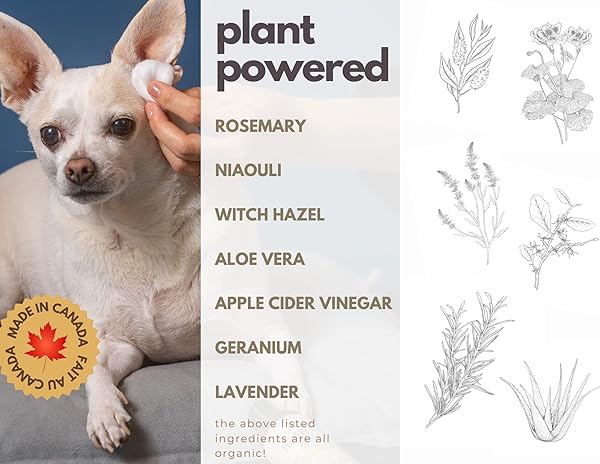 NATURAL DOG EAR CLEANER SOLUTION – DOG ITCHY EARS TREATMENT – ELIMINATES ODOR & WAXY BUILDUP – GENTLE DOG EAR WASH FORMULA – MADE IN CANDA BY BLACK SHEEP ORGANICS (4 FL OZ)