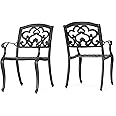 Christopher Knight Home Austin Outdoor Cast Aluminum Dining Chairs, 2-Pcs Set, Shiny Copper