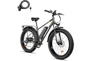 Mukkpet Suburban 750W Electric Bike for Adults, 25MPH Ebike, 26'' X 4.0 Fat Tire Mountain Bikes 48V 15AH BMS Battery Adult Electric Bicycles 7-Speed Electric Bike
