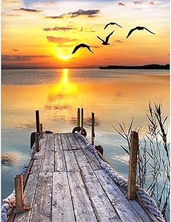 SHUIBIAN DIY 5D Diamant Painting Set, Diamond Painting kristall Strass Diamant Stickerei gemälde für wohnkultur，Holzbrücke am Meer (Seagull Sunrise, 40x50cm)