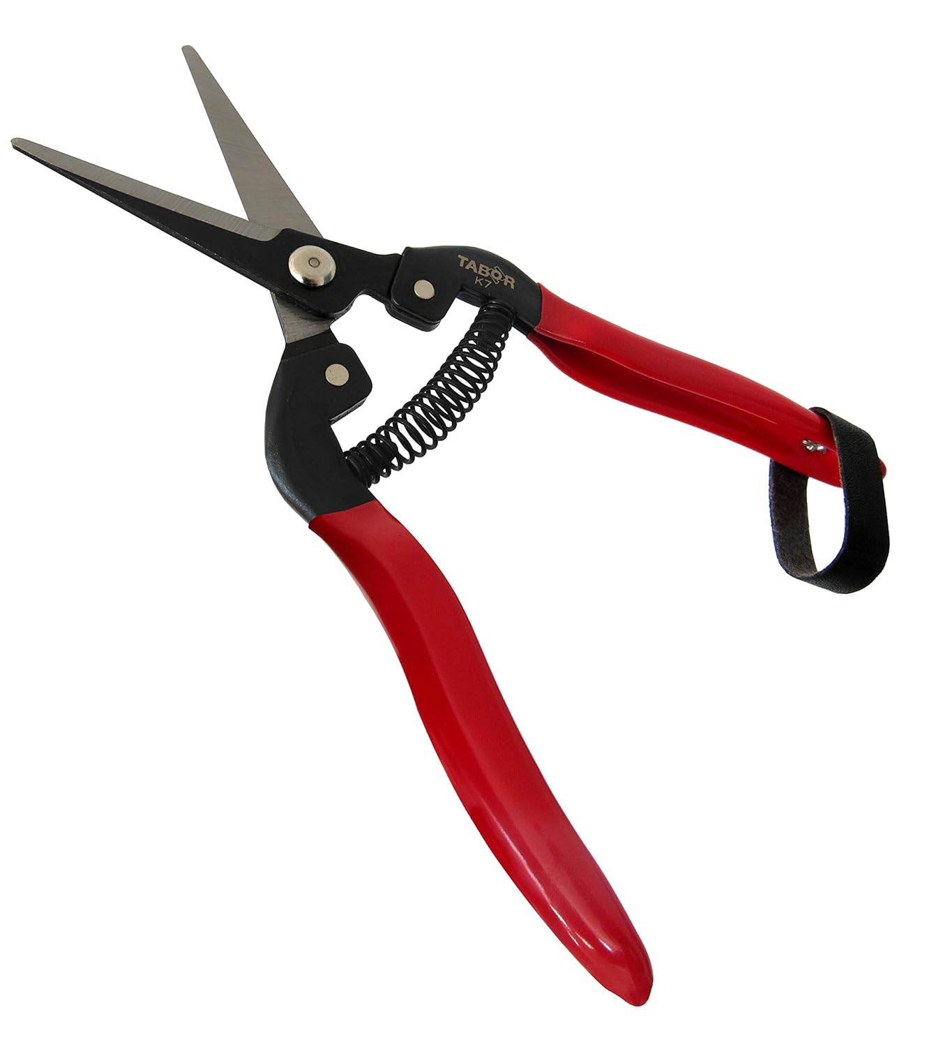 نتيجة بحث الصور عن ‪tabor k-7‬‏