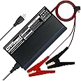 ExpertPower 12V 20A Smart Charger for Lithium LiFePO4 Deep Cycle Rechargeable Batteries