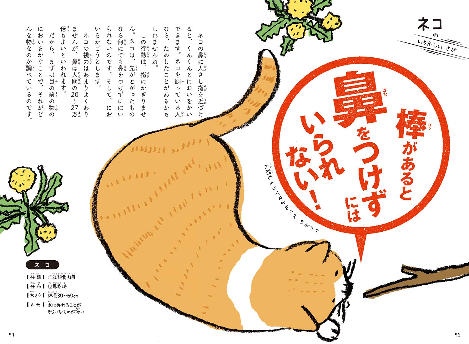 これをせずにはいられない 動物たちの悲しき習性図鑑 こざきゆう 今泉忠明 ヨツモトユキ 本 通販 Amazon