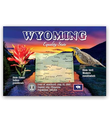 Amazon.com : GREETINGS FROM WYOMING vintage reprint postcard
