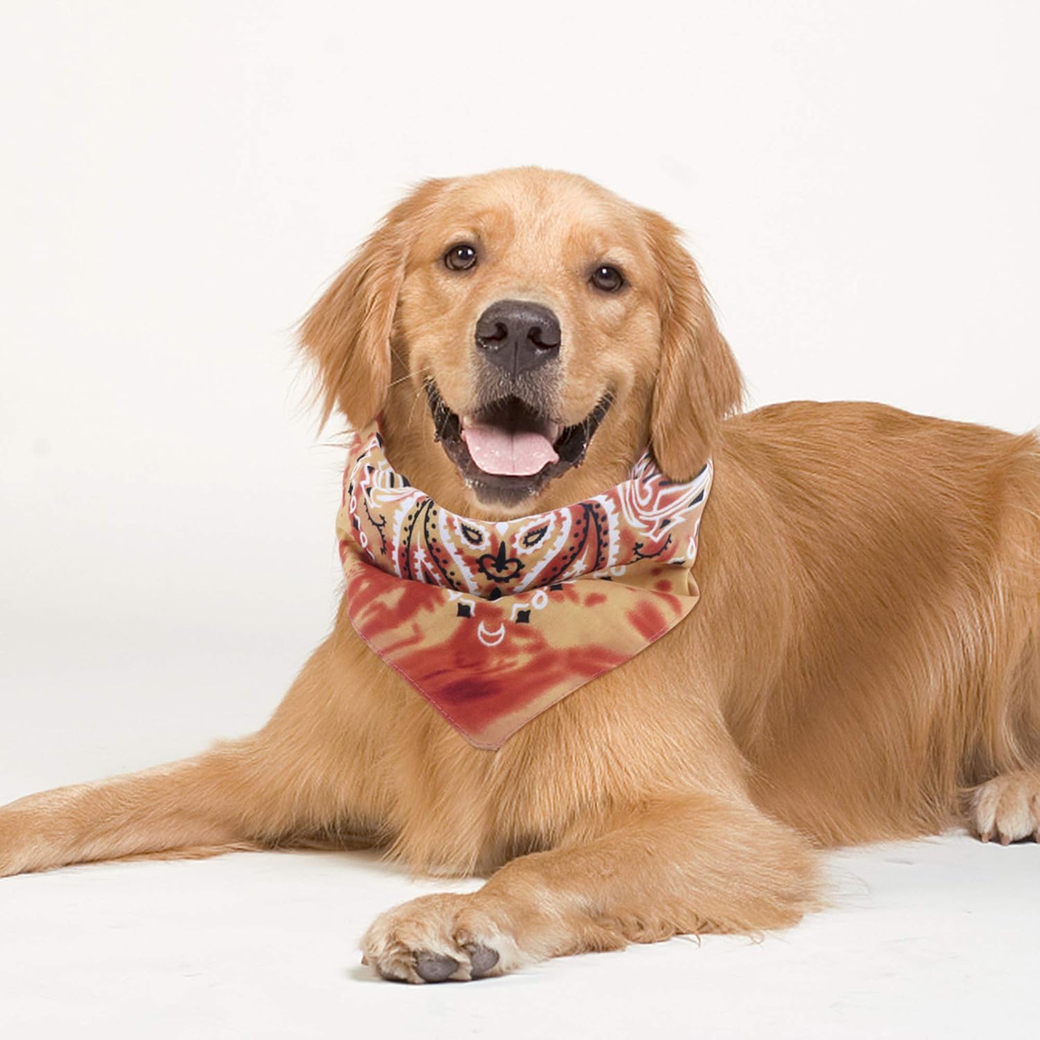 sailimue 12 Packs Paisley Bandanas Cotton for Men Women Unisex Dog Rave Bandanas Handkercheif Face Bandana Bulk: Jewelry