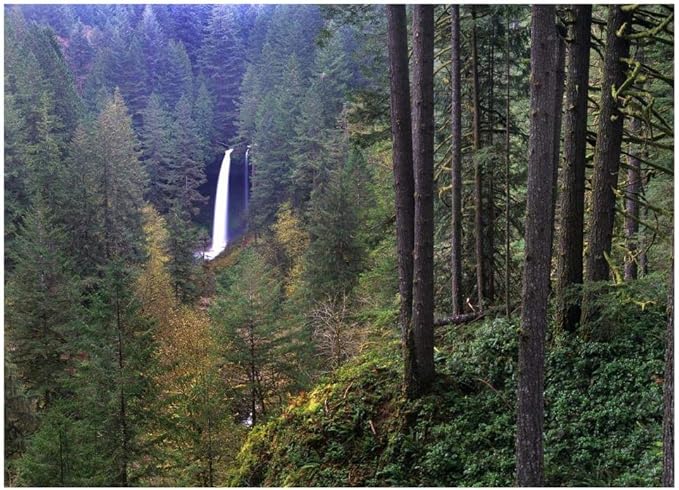 Salem falls essays 04 image