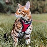 rabbitgoo Cat Harness and Leash Set, Extra Small, Reflective, Red, S view 9
