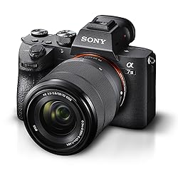 Sony Alpha a7 III Mirrorless Digital Camera with