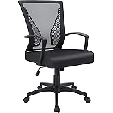 Furmax Office Chair Mid Back Swivel Lumbar Support Desk Chair, Computer Ergonomic Mesh Chair with Armrest (Black)