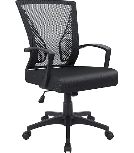 Oak Hollow Reina Ergonomic Office Chair - Mesh Back, Adjustable Lumbar & Arms, Breathable Fabric Seat (300 Lbs Capacity)