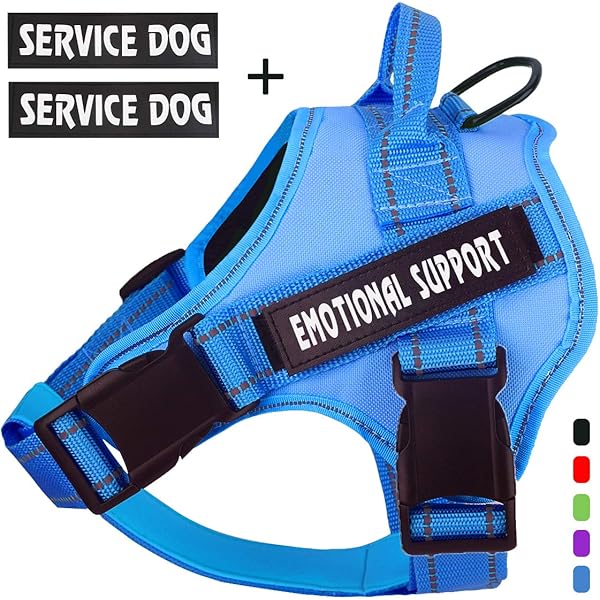 support dog vest amazon