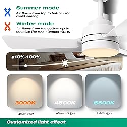 28"Ceiling Fans with Lights, Flush Mount Ceiling