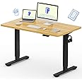FLEXISPOT EN1 Whole-Piece Standing Desk 48 x 24 Inches Height Adjustable Desk Electric Sit Stand Desk Home Office Desks (Black Frame + Maple Top, 2 Packages)