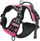HEELE Dog Harness Small Reflective No-Pull Soft Handle Rose S view 2