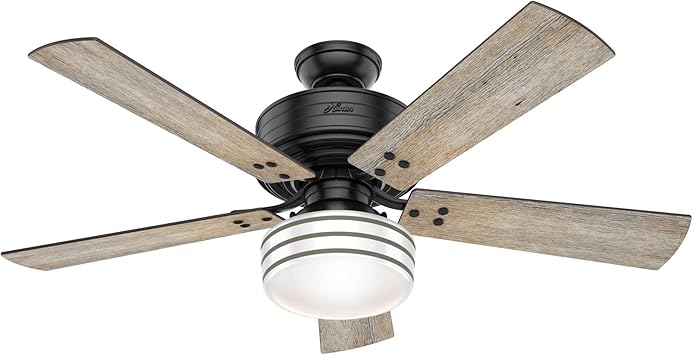 Hunter Indoor Outdoor Ceiling Fan With Light And Remote Control