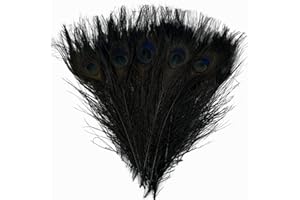 LWINGFLYER 20pcs Dyed Peacock Feathers 10-12 Inch Feather for Crafts Hat Costume Christmas Tree Decor Wedding Holiday Decoration Floral Arrangements (Black)