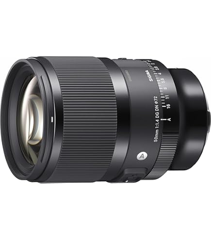 Amazon.com : Sigma 50mm F1.4 DG DN F for L Mount : Electronics