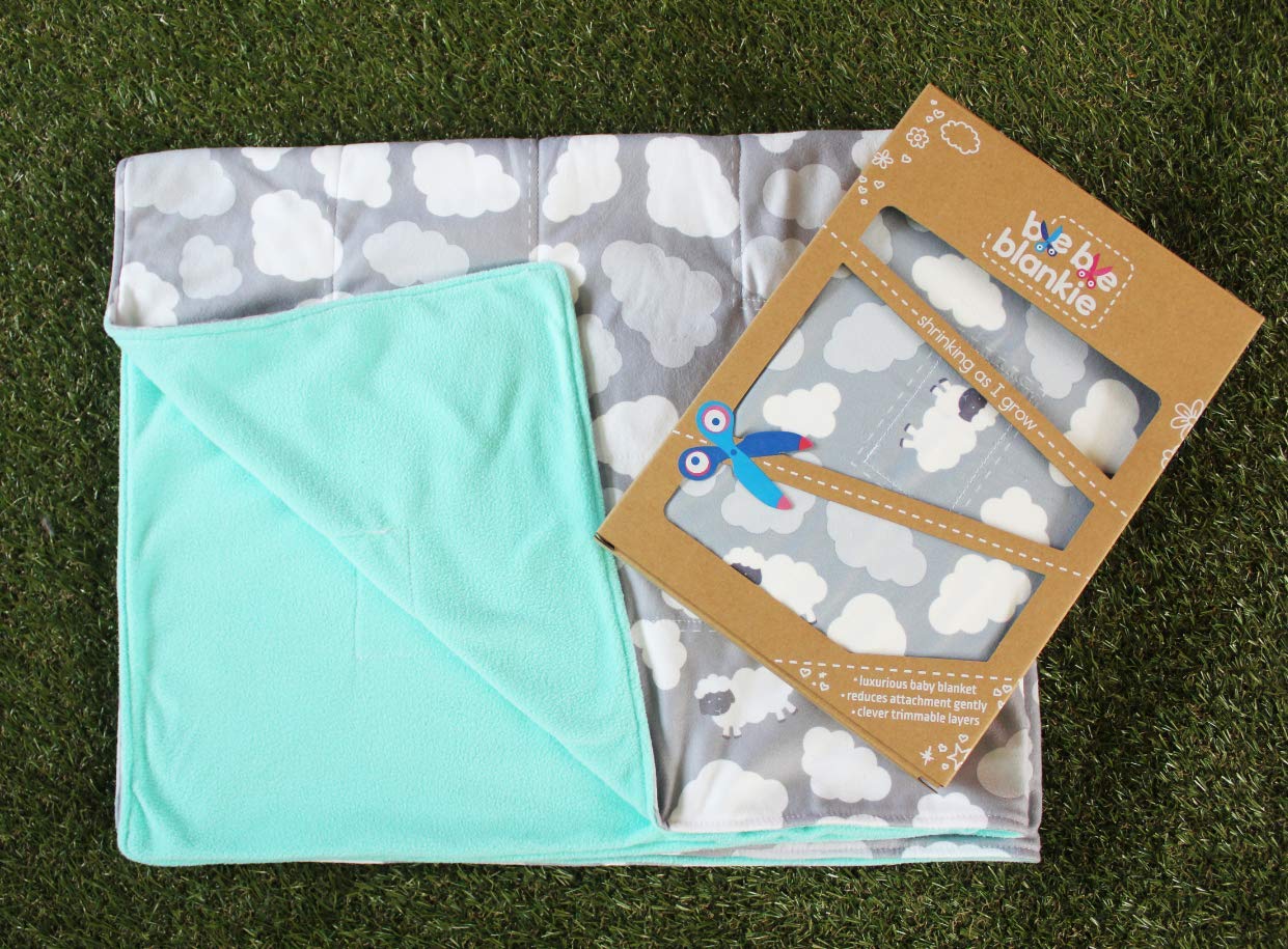 Bye Bye Blankie (Baa Baa),Grey