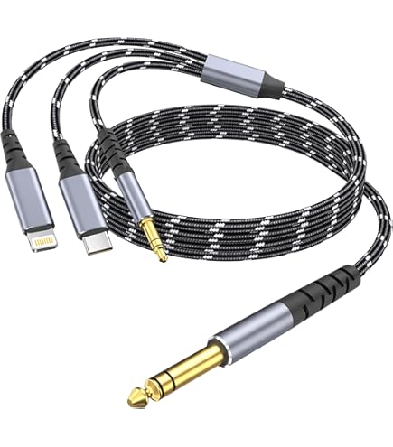 stereo専用iPhone Amazon.com: [Apple MFi Certified] iPhone to 3.5mm Car AUX Stereo