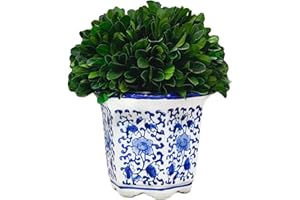 Galt International 7" Naturally Preserved Real Boxwood Ball in Hand-Painted Blue & White China Pot Planter Green Indoor Plant Home Decor (Small 7" Tall Topiary)