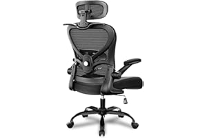 Freepub Ergonomic Office Chair with Headrest 3D, Mesh Office Desk Chair with Adjustable Lumbar Support, Computer Chair with Flip up Armrests, 350LBS Capacity - Design for Home/Offices - Black