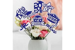 LNYSSQ 2024 Graduation Party Decorations 16PCS Blue and Silver Stereoscopic Centerpiece Sticks Grad Decor for Tables,Graduation Party Supplies Decorations Class of 2024