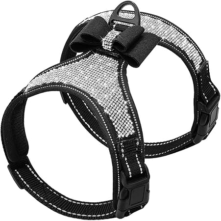 bedazzled dog harness