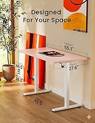 ErGear Height Adjustable Electric Standing Desk, 55