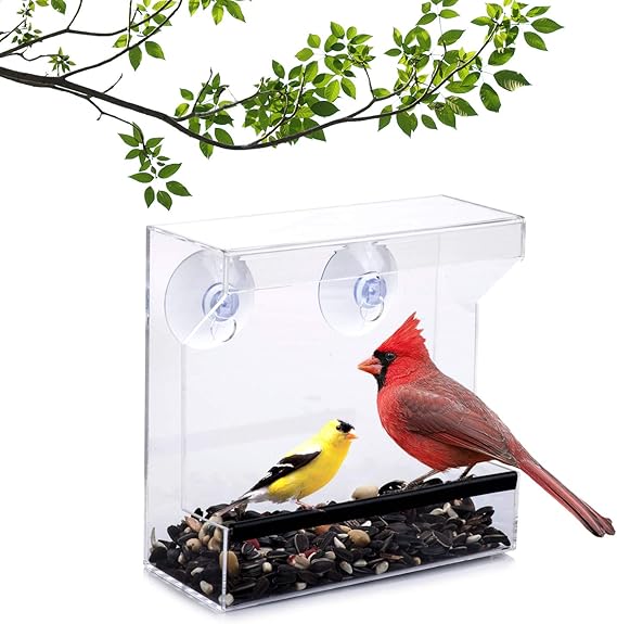 Wild Birds of Joy Window Bird Feeder with Strong Suction Cups and Seed