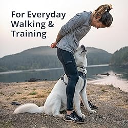 Ruffwear, Front Range Dog Harness, Reflective Soft