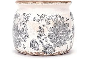 Dosayes Vintage Grey Ceramic Ice Crack Flower Pot with Drainage Holes, Country Rustic Planters for Indoor and Outdoor,Tuscan Decor,Home,Living Room, Garden Decor, Gardening Gift