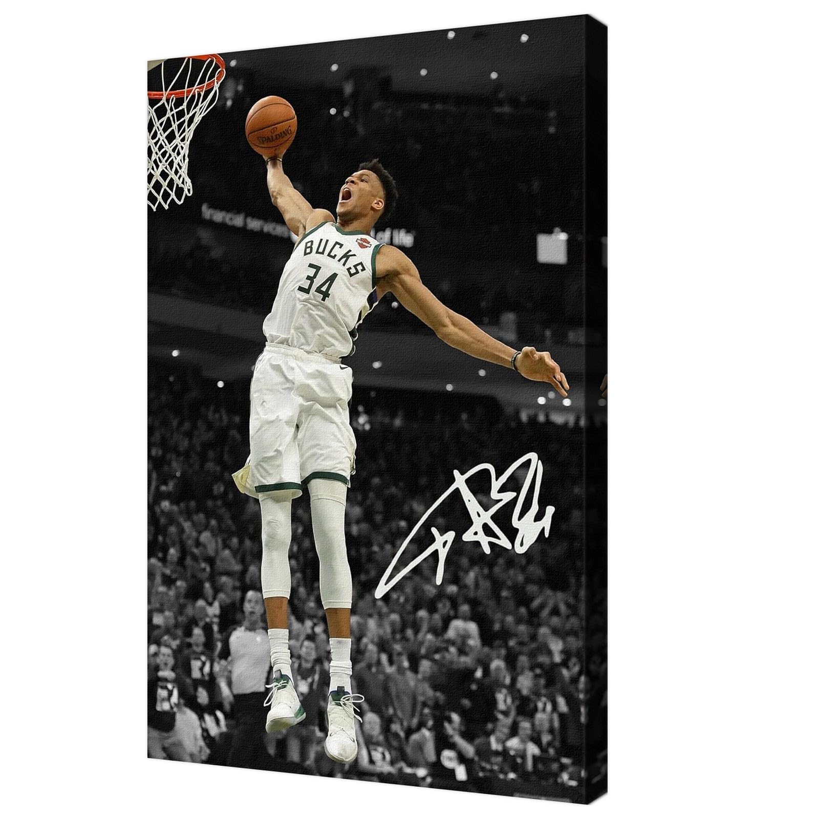 Basketball Superstar Giannis Antetokounmpo Signed