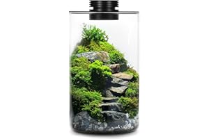 Mini Desktop Glass Terrarium with Grow Light - Succulent Moss Miniature Gardening Landscape, Fish Tank Indoor Plant Growth Of