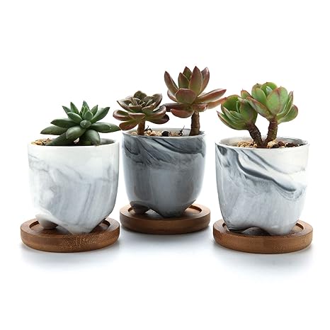 ComSaf Sukkulenten Übertöpfe Töpfe mit Bambusuntersetzer Grau 6CM Keramik Eiscreme Serie Packung mit 3, Kaktus Container Pfla