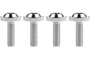 Wanyifa Titanium Bolt M6 10 15 20 25mm Torx T30 Screws for Bicycle Motorcycle Car Pack of 4 (M6X20mm, Silver)