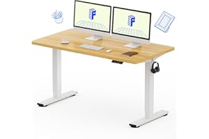 FLEXISPOT EN1 One-Piece Standing Desk 55 x 28 Inch Electric Adjustable Height Desk for Home Office and Computer Workstation (