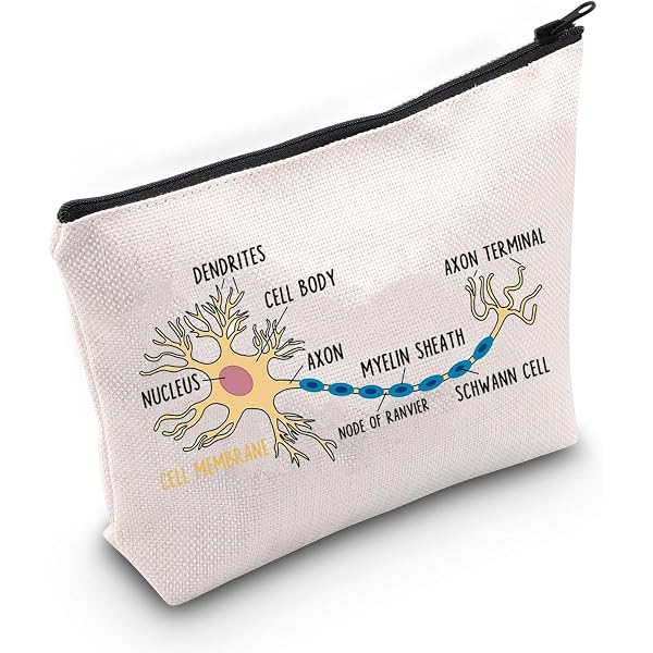 G2TUP Kosmetiktasche Mit Gehirn-Anatomie Design – 23,5x17 Cm, Reißverschluss, Waschbar, Ideal Für Neurowissenschaft-Fans