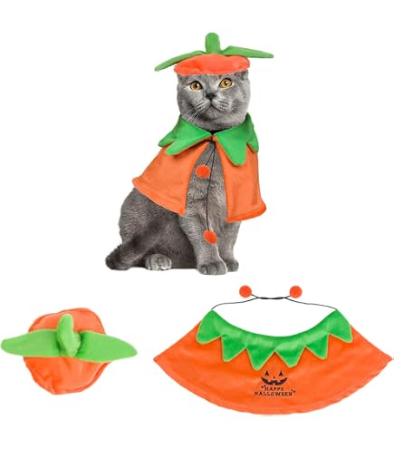 Pet Cape And Hat Set EOILFM Pet Puss In Boots Costume – Cat Dog ...