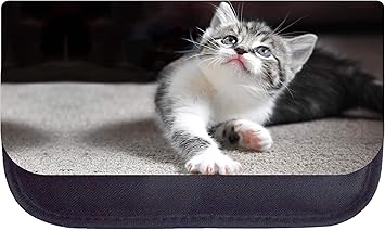 grey and white kitty
