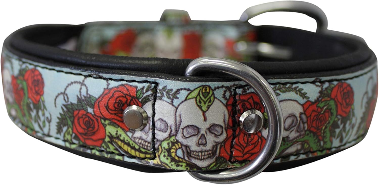 leather skull dog collar