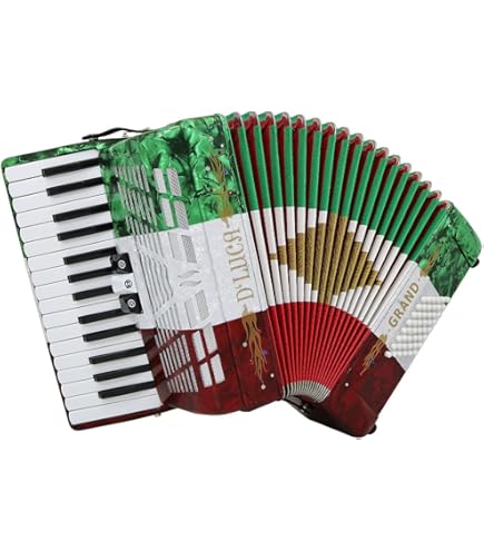 Amazon.com: Hohner Amica Forte IV 96 Chromatic Piano Key Accordion