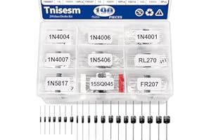 Tnisesm 20Values Diodes Kit 1N4001 1N4002 1N4003 1N4004 1N4005 1N4006 1N4007 1N4148 1N5404 1N5406 1N5408 RL207 UF4007 FR107 FR207 1N5817 1N5819 1N5822 15SQ045 10A10 Rectifier Schottky Diode Assortment