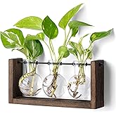Mkono Plant Propagation Station with Wooden Stand, Wall Hanging Glass Planter Tabletop Terrarium Bulb Vase for Hydroponics Plants Home Office Decor