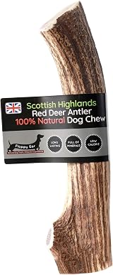 Floppy Ear Scottish Deer Antler Dog Chews Large 160-200g