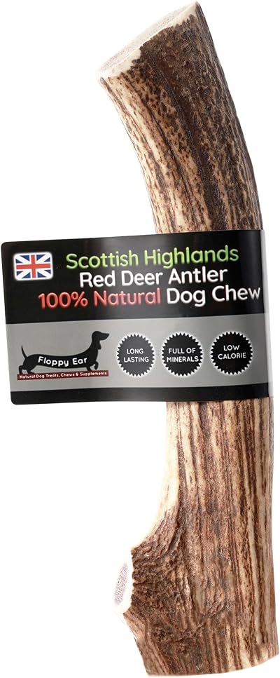 Floppy Ear Scottish Deer Antler Dog Chews Large 160-200g