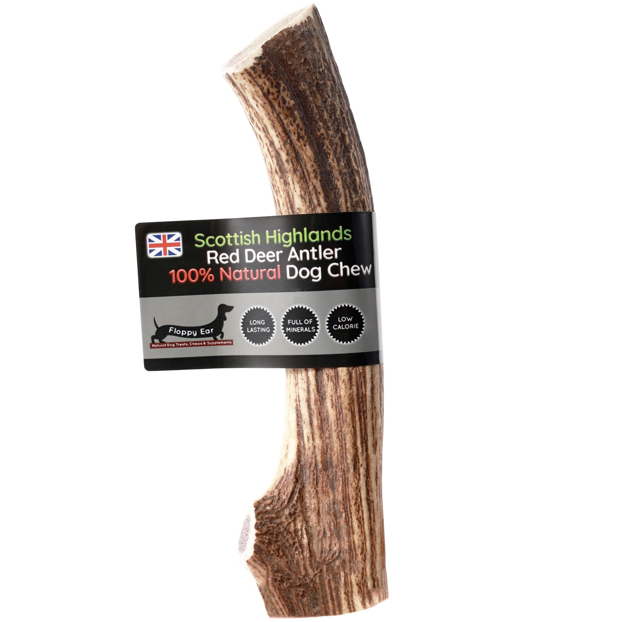 Scottish Deer Antler Dog Chews - Naturally Shed, Long Lasting, 100% Natural… (Deer Antler Chew Large 160-200g)