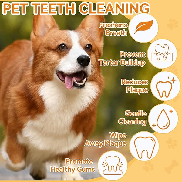 ERIGATHE DOG TEETH CLEANING WIPES FOR DOGS & CATS 60 COUNTS, DOG DENTAL FINGER WIPES REMOVE BAD BREATH, DOG TOOTH BRUSHING KIT WIPES REDUCING TARTAR BUILDUP & GUM CARE PET DOG TEETH WIPES